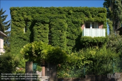 Viennaslide-78010169 Wien, Architektur, Fassadenbegrünung - Vienna, Architecture, Green Facade