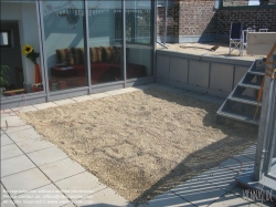 Viennaslide-78315011 Umbau einer Terrasse zum Dachgarten - Conversion of a Terrace to a Rooftop Garden