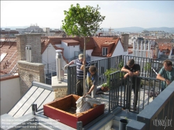Viennaslide-78315059 Umbau einer Terrasse zum Dachgarten - Conversion of a Terrace to a Rooftop Garden