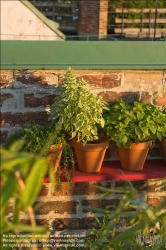 Viennaslide-78315115 Wien, Dachgarten - Vienna, Rooftop Garden