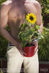 Viennaslide-78315140 Wien, Dachgarten, Junger Mann mit Sonnenblume - Vienna, Rooftop Garden, Young Man with Sunflower