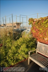 Viennaslide-78315242 Wien, Dachgarten - Vienna, Rooftop Garden