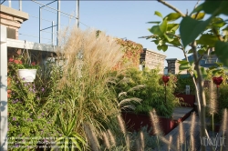 Viennaslide-78315256 Wien, Dachgarten - Vienna, Rooftop Garden