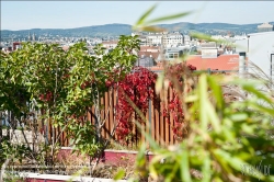 Viennaslide-78315280 Wien, Dachgarten - Vienna, Rooftop Garden