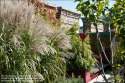 Viennaslide-78315281 Wien, Dachgarten - Vienna, Rooftop Garden