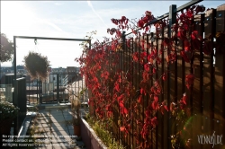 Viennaslide-78315287 Wien, Dachgarten - Vienna, Rooftop Garden