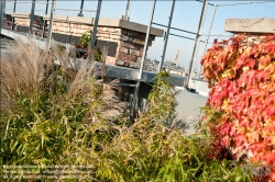 Viennaslide-78315290 Wien, Dachgarten - Vienna, Rooftop Garden