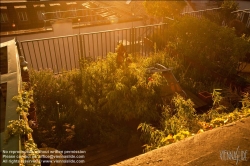 Viennaslide-78315304 Wien, Dachgarten - Vienna, Rooftop Garden