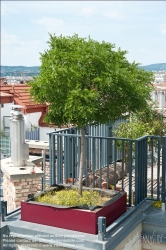 Viennaslide-78315345 Wien, Dachgarten - Vienna, Rooftop Garden