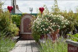 Viennaslide-78315346 Wien, Dachgarten - Vienna, Rooftop Garden