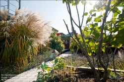 Viennaslide-78315355 Wien, Dachgarten - Vienna, Rooftop Garden