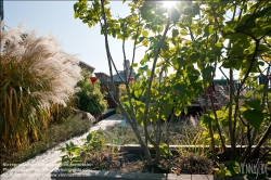 Viennaslide-78315356 Wien, Dachgarten - Vienna, Rooftop Garden