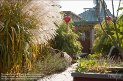 Viennaslide-78315358 Wien, Dachgarten - Vienna, Rooftop Garden