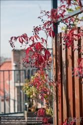 Viennaslide-78315368 Wien, Dachgarten - Vienna, Rooftop Garden