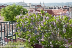 Viennaslide-78315382 Wien, Dachgarten - Vienna, Rooftop Garden