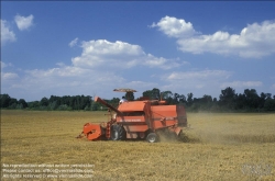 Viennaslide-79121132 Österreich, Landwirtschaft, Mähdrescher - Austria, Agriculture, Harvester