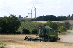 Viennaslide-79121161 Österreich, Landwirtschaft, Mähdrescher - Austria, Agriculture, Harvester