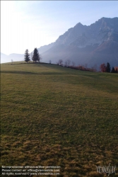 Viennaslide-83400001 Sommerlandschaft in der Steiermark - Summer in Styria, Austria