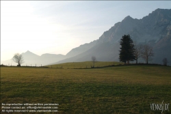 Viennaslide-83400003 Sommerlandschaft in der Steiermark - Summer in Styria, Austria