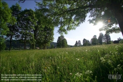 Viennaslide-83400006 Sommerlandschaft in der Steiermark - Summer in Styria, Austria