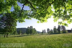 Viennaslide-83400007 Sommerlandschaft in der Steiermark - Summer in Styria, Austria