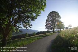 Viennaslide-83400009 Sommerlandschaft in der Steiermark - Summer in Styria, Austria