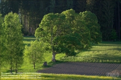 Viennaslide-83400010 Sommerlandschaft in der Steiermark - Summer in Styria, Austria