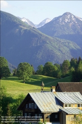 Viennaslide-83400012 Sommerlandschaft in der Steiermark - Summer in Styria, Austria