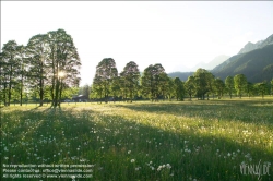 Viennaslide-83400016 Sommerlandschaft in der Steiermark - Summer in Styria, Austria