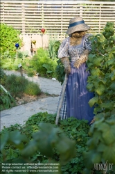 Viennaslide-87000022 