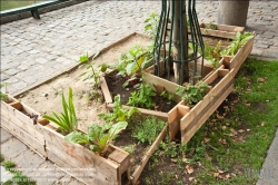 Viennaslide-87000024 Guerilla Gardening, Urban Gardening