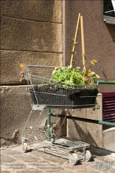 Viennaslide-87000038 Guerilla Gardening, Urban Gardening