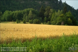 Viennaslide-87110104 Landwirtschaft