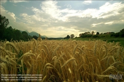 Viennaslide-87110107 Landwirtschaft