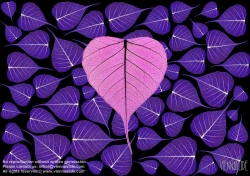 Viennaslide-87111109 Blätter, Illustration - Leaves, Illustration