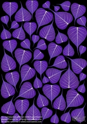 Viennaslide-87111119 Blätter, Illustration - Leaves, Illustration