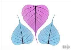 Viennaslide-87111125 Blätter, Illustration - Leaves, Illustration