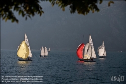 Viennaslide-92120143 Segelregatta - Sailing Regatta