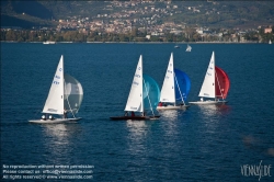 Viennaslide-92120149 Segelregatta - Sailing Regatta