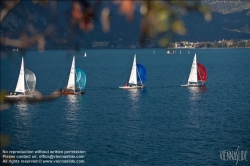 Viennaslide-92120150 Segelregatta - Sailing Regatta