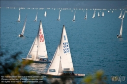 Viennaslide-92120151 Segelregatta - Sailing Regatta