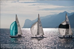 Viennaslide-92120152 Segelregatta - Sailing Regatta