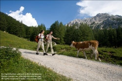 Viennaslide-97111153 Ramsau am Dachstein, Wandern - Hiking