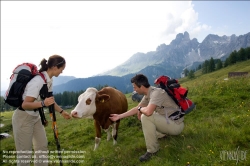 Viennaslide-97111158 Ramsau am Dachstein, Wandern - Hiking