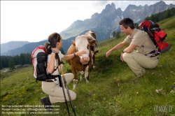 Viennaslide-97111159 Ramsau am Dachstein, Wandern - Hiking