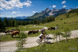 Viennaslide-97320668 Mountainbike